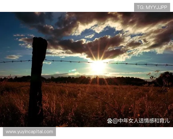 《一米阳光》:当温暖的光芒照进心灵深处