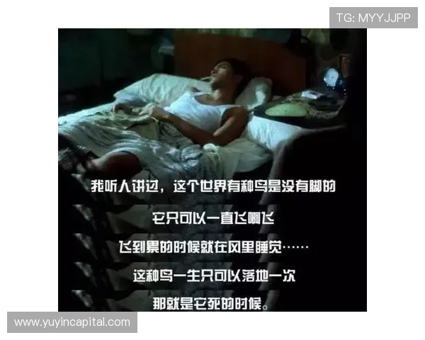 《永不回头》:一次人性的史诗,一次关于选择与救赎的深刻注解